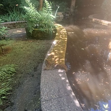 Spring-pressure-washing-for-Kirkland-springs-apartments 13